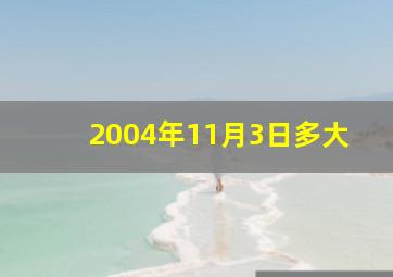 2004年11月3日多大