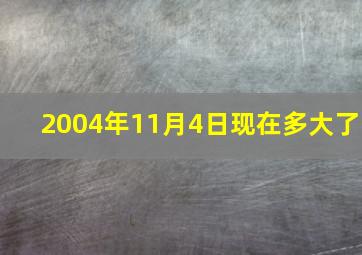 2004年11月4日现在多大了