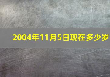 2004年11月5日现在多少岁