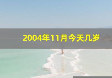 2004年11月今天几岁