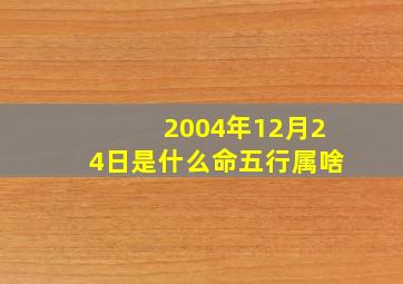 2004年12月24日是什么命五行属啥