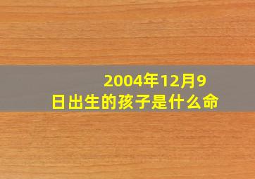 2004年12月9日出生的孩子是什么命