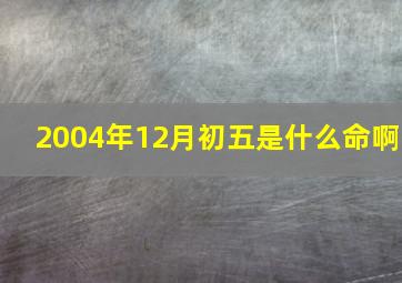 2004年12月初五是什么命啊