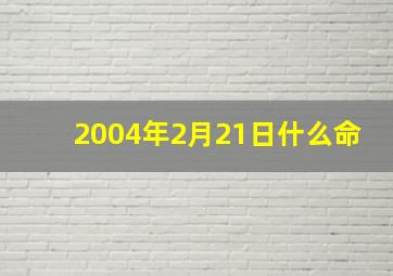 2004年2月21日什么命