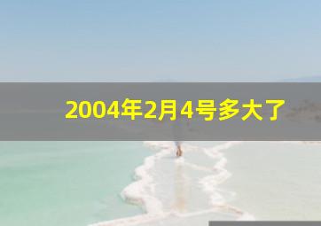 2004年2月4号多大了