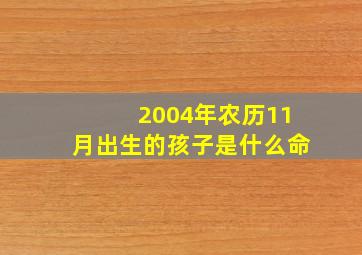 2004年农历11月出生的孩子是什么命