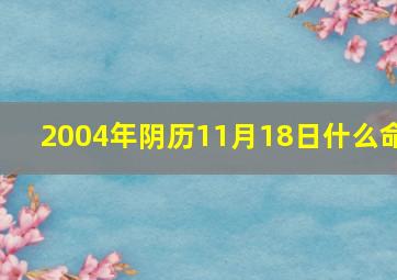 2004年阴历11月18日什么命