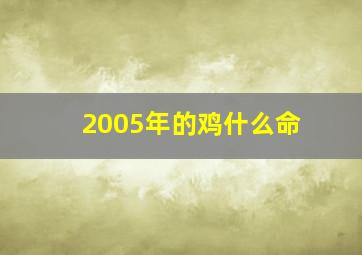 2005年的鸡什么命