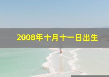 2008年十月十一日出生