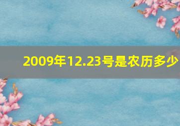 2009年12.23号是农历多少