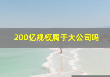 200亿规模属于大公司吗