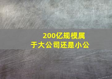 200亿规模属于大公司还是小公