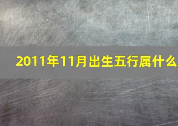 2011年11月出生五行属什么