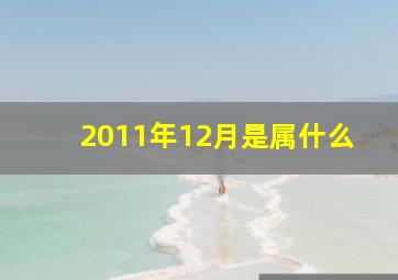 2011年12月是属什么