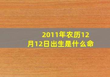 2011年农历12月12日出生是什么命