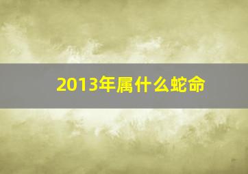 2013年属什么蛇命