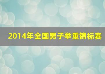 2014年全国男子举重锦标赛