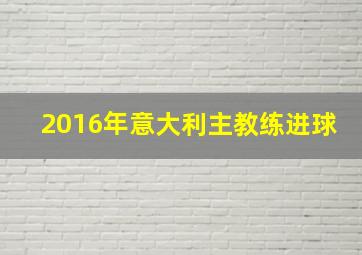 2016年意大利主教练进球