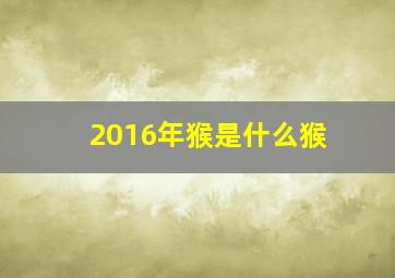 2016年猴是什么猴