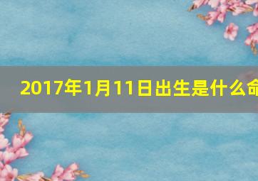 2017年1月11日出生是什么命