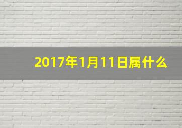 2017年1月11日属什么