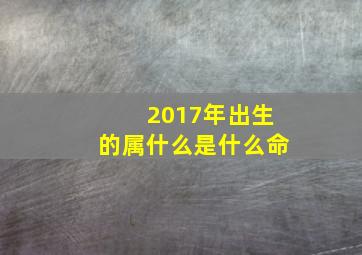 2017年出生的属什么是什么命