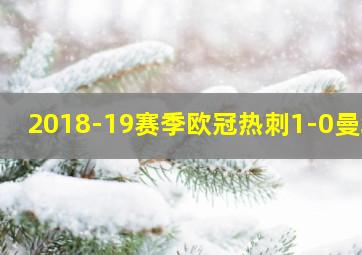 2018-19赛季欧冠热刺1-0曼城