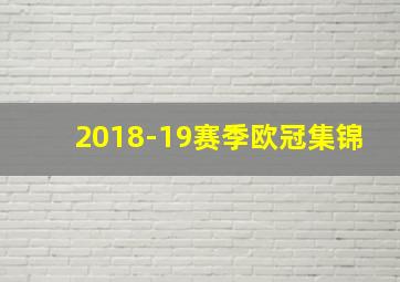 2018-19赛季欧冠集锦