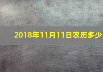 2018年11月11日农历多少