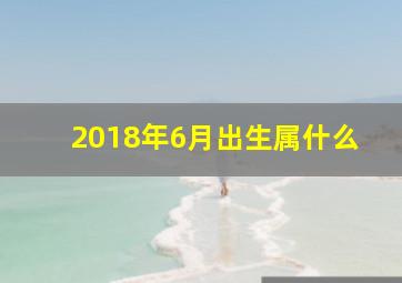 2018年6月出生属什么