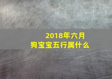 2018年六月狗宝宝五行属什么