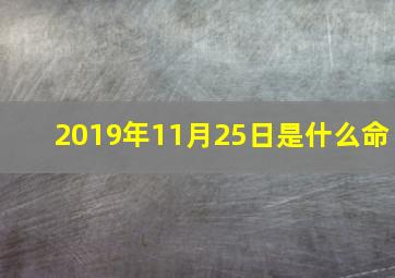 2019年11月25日是什么命