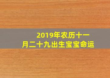 2019年农历十一月二十九出生宝宝命运