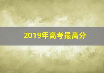 2019年高考最高分