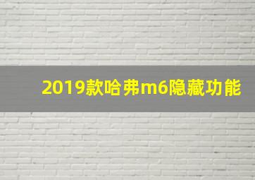 2019款哈弗m6隐藏功能