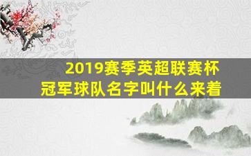 2019赛季英超联赛杯冠军球队名字叫什么来着