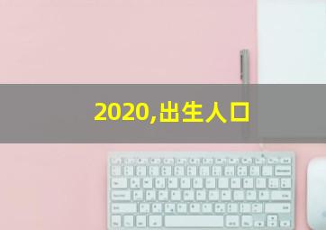 2020,出生人口