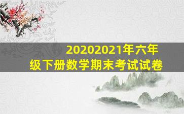 20202021年六年级下册数学期末考试试卷