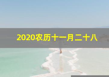 2020农历十一月二十八