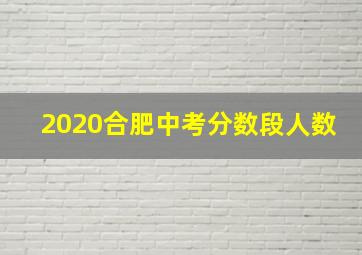 2020合肥中考分数段人数