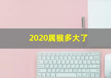 2020属猴多大了