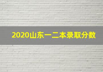 2020山东一二本录取分数