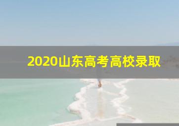 2020山东高考高校录取