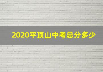 2020平顶山中考总分多少