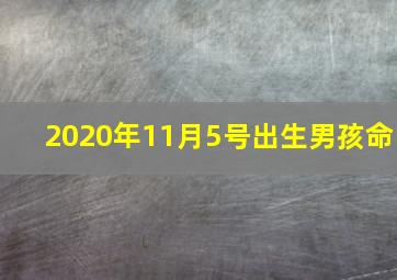 2020年11月5号出生男孩命