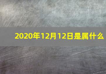 2020年12月12日是属什么