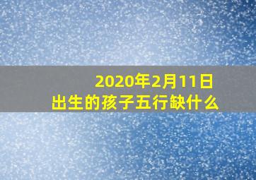 2020年2月11日出生的孩子五行缺什么