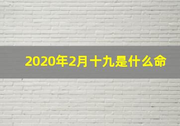 2020年2月十九是什么命