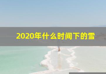 2020年什么时间下的雪