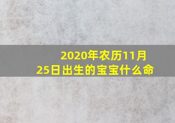 2020年农历11月25日出生的宝宝什么命